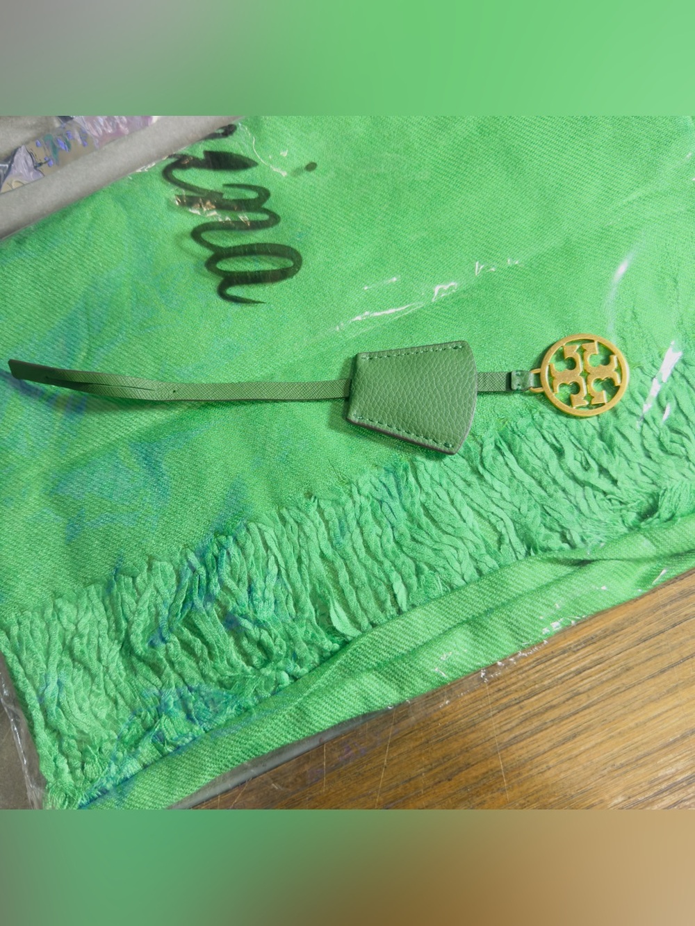 Oussum Women's Winter Viscose Scarf (Green) + Clochette - Picture 1 of 7